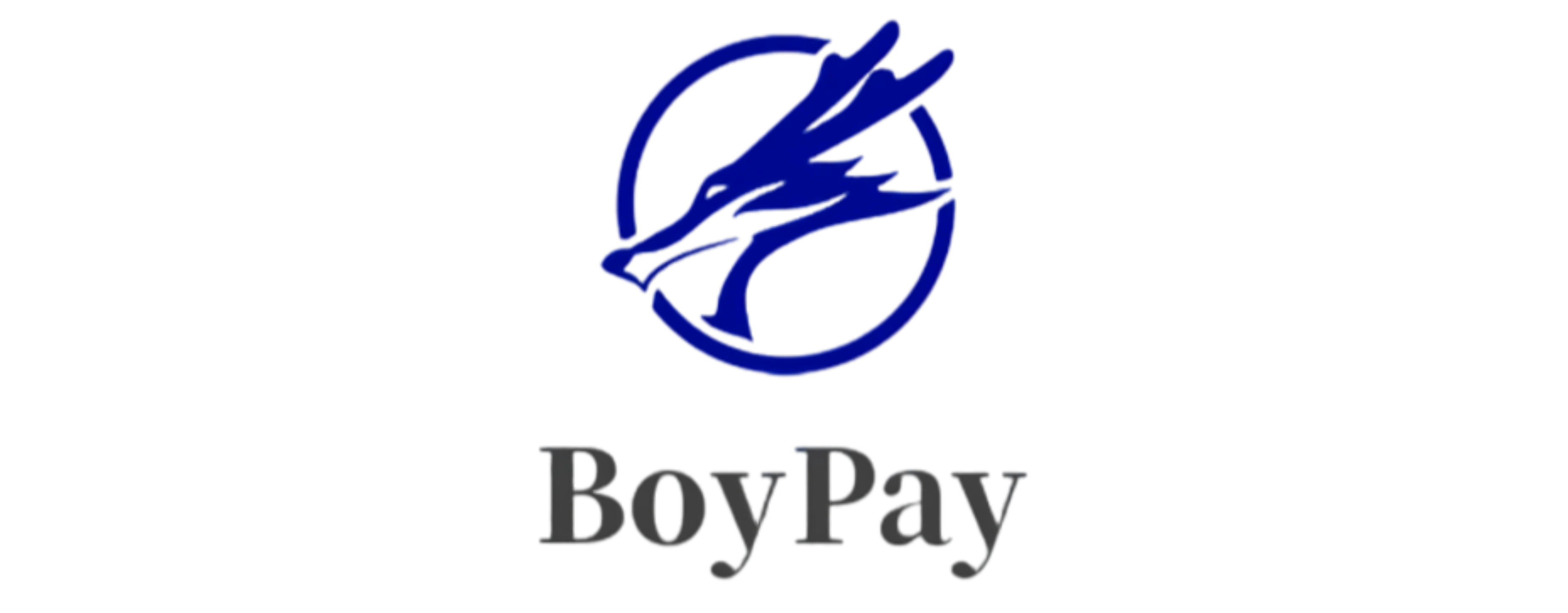 BoyPay